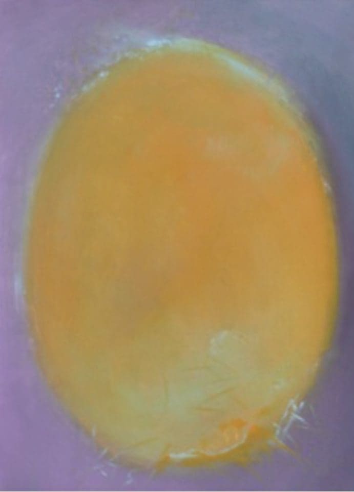 A painting that looks like a egg